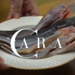 CARA | Bersihkan Ikan Keli