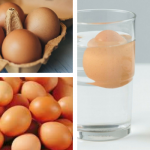 Ingin Tahu Kualiti Telur Ayam Dalam Simpanan Korang Masih Elok Ataupun Tidak? Jom Ikuti Tips Ini