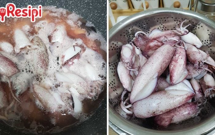 sotong jad kecut