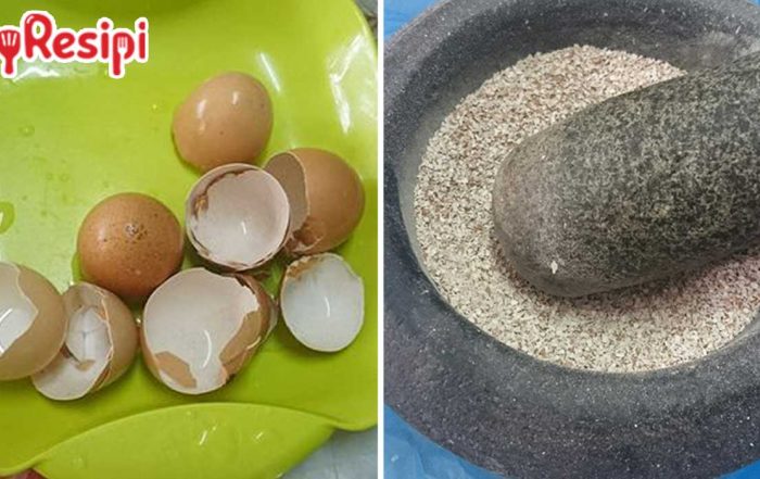 kulit telur