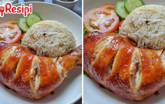 nasi ayam biasa
