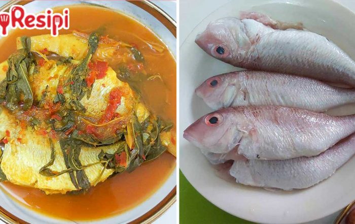 singgang pedas