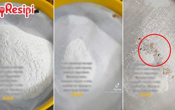 ulat tepung gandum