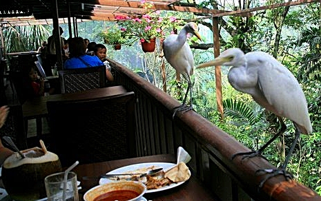 Tempat Makan 'Outdoor' di KL & Selangor