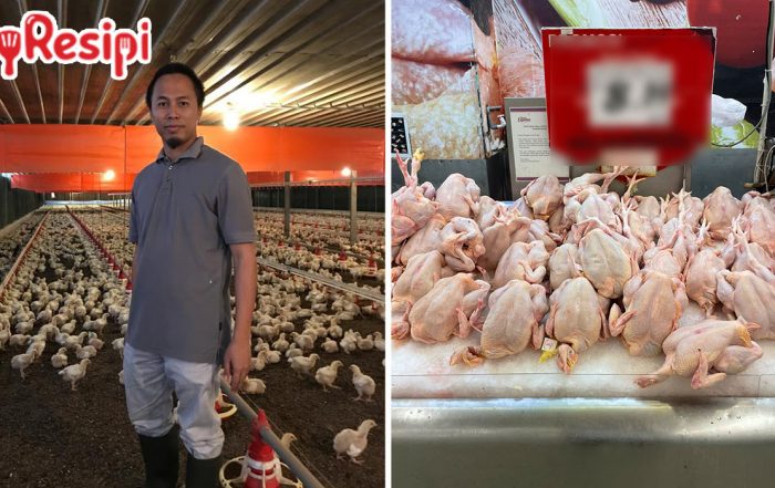 sebab ayam habis