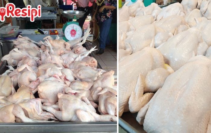 tips memilih ayam segar