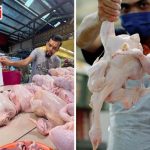 Kos Pengangkutan Naik, Harga Ayam Segar Di Johor Melonjak Kepada RM12 Sekilogram