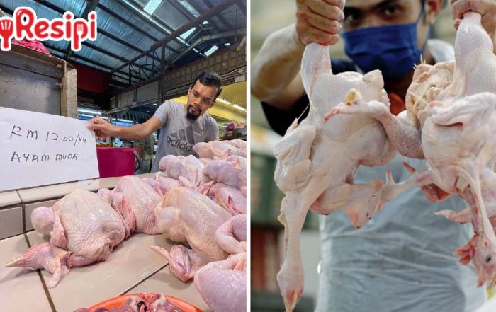 harga ayam segar johor