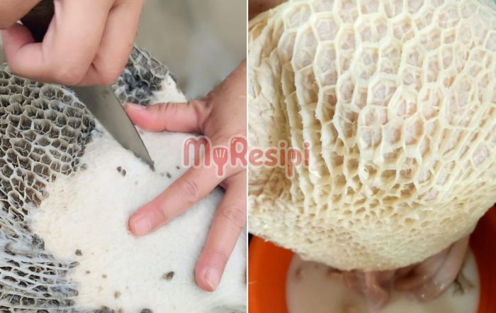 cuci perut lembu