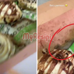 Baru Nak Makan Cinnamon Roll Tapi Terbantut, Ada Cicak Pula Dalam Tu