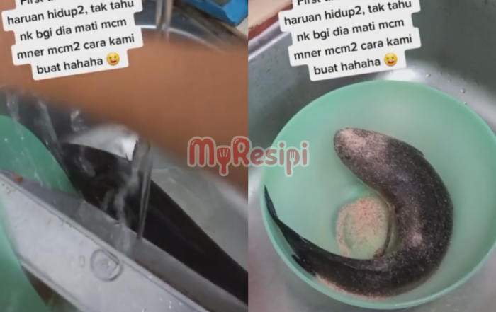 ikan haruan