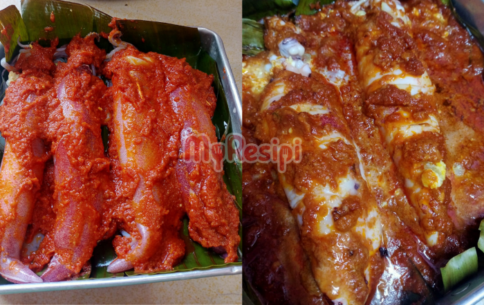 sotong sumbat bakar