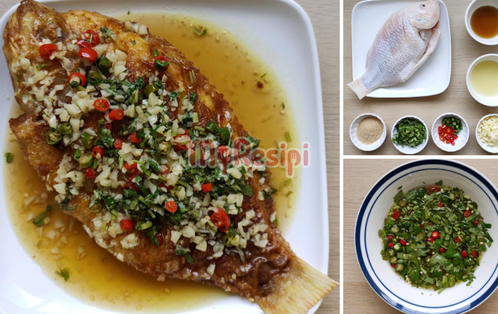 talapia