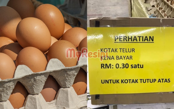 kotak telur