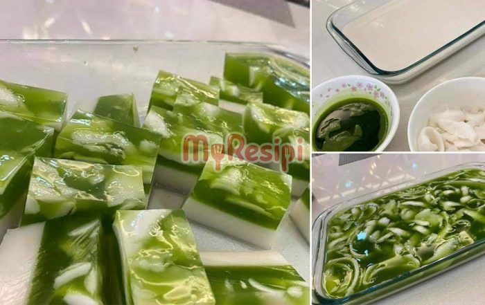 agar-agar santan
