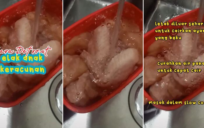 cara defrost lauk