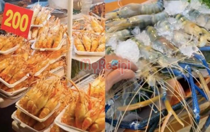 harga udang