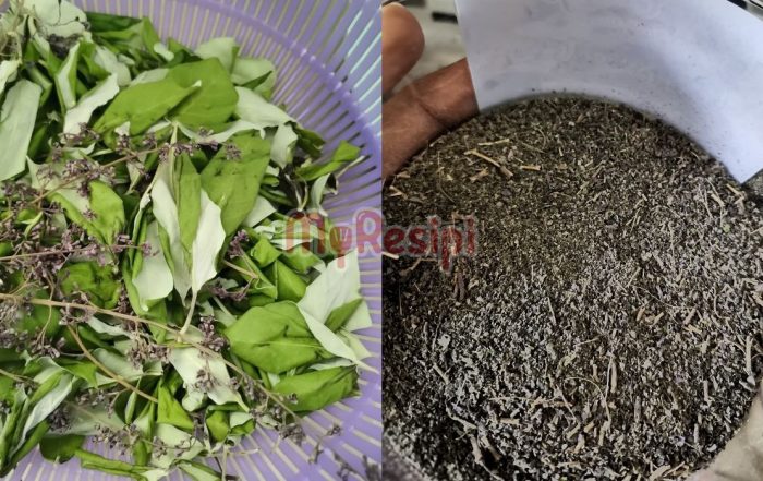 Daun Lemuni