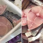 Cara Betul Simpan Ikan Supaya Kekal Segar, Tahan Lama Macam Baru Beli