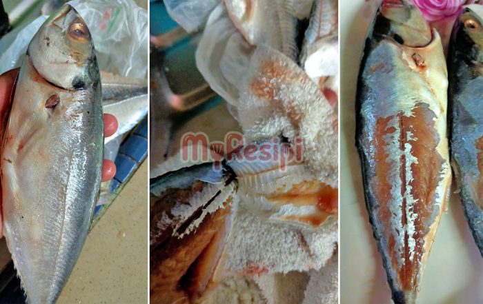 cara siat jaket ikan
