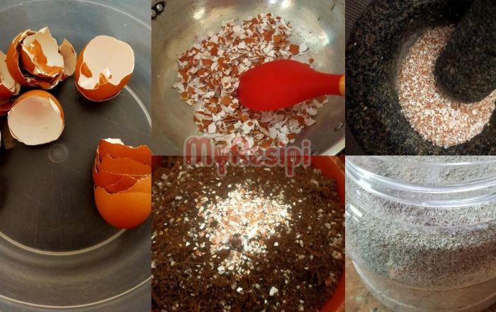 Baja Kulit Telur