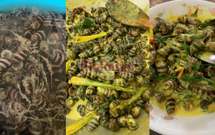 Siput Sedut
