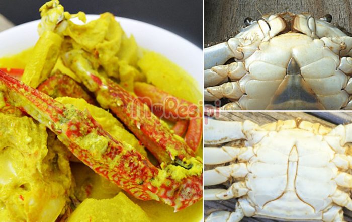 tips pilih ketam berisi