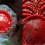 Jemu Dengan Kuih Jawa Yang Biasa, Wanita Ini Kongsi Resipi Kuih Jawa Red Velvet