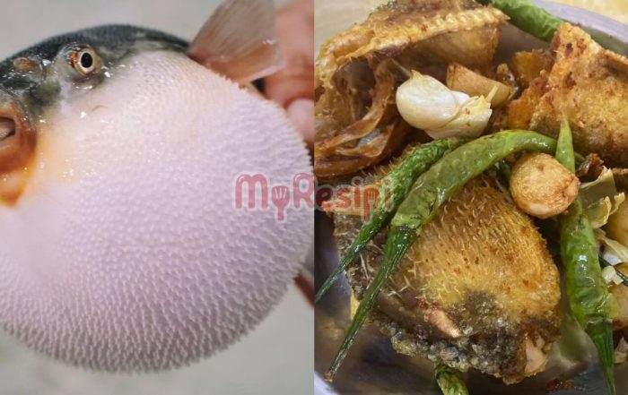 racun ikan buntal