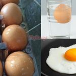 Banyak Risiko Makan Telur Rosak, Kenali 7 Tanda Ini Yang Wajib ‘Alert’