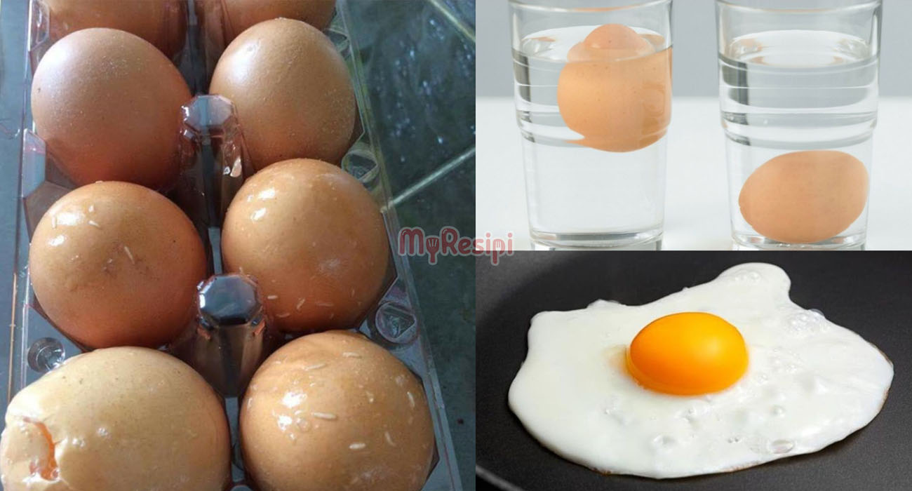 Banyak Risiko Makan Telur Rosak, Kenali 7 Tanda Ini Yang Wajib ‘Alert’