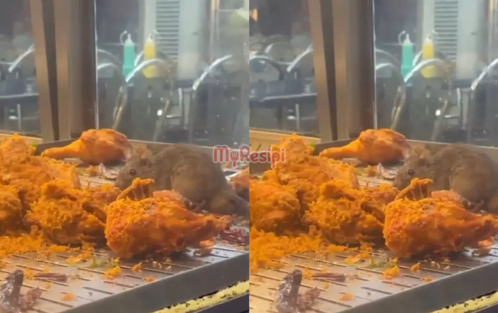 tikus