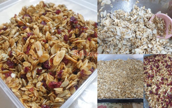 snek granola