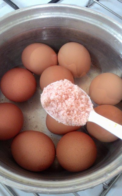 tips rebus telur