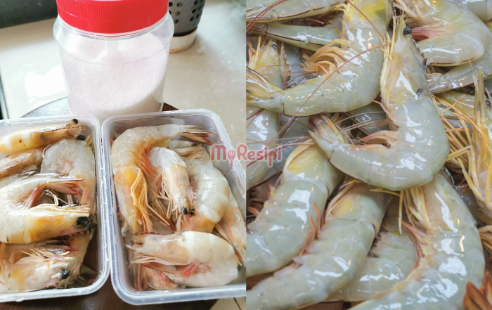 udang