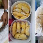 Tips Simpan Durian Supaya Tahan Lama, Setahun Pun Elok Lagi