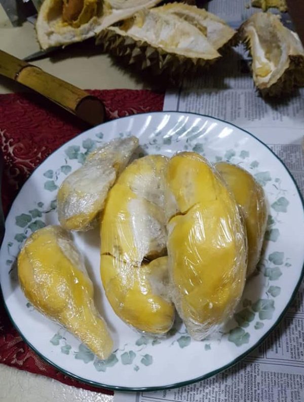 simpan durian