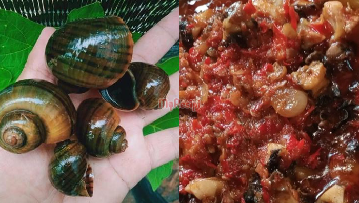 Siput Sawah Gondang