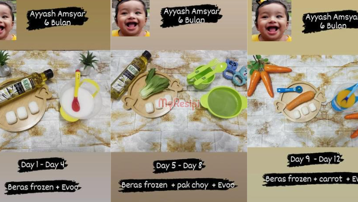 makanan bayi