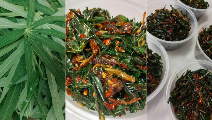 pucuk ibu goreng