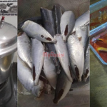 Sardin Tin Makin Mahal? Wanita Ini Kongsi Resipi Sardin Guna ‘Pressure Cooker’