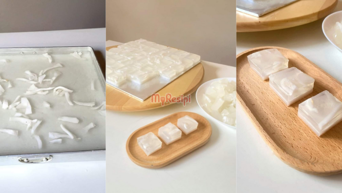 agar-agar kelapa