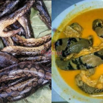 Ikan Tilan Masak Lemak? Lain Macam Rupa Ikan Ni, Katanya Lagi Sedap Dari Rasa Ayam