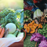 7 Jenis Sayur Paling Banyak Khasiat, Baru ‘Balance’ Diet Harian!