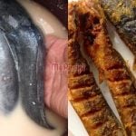 Tips Goreng Ikan Keli Supaya Tak Meletup, Tak Hancur & Lurus Elok