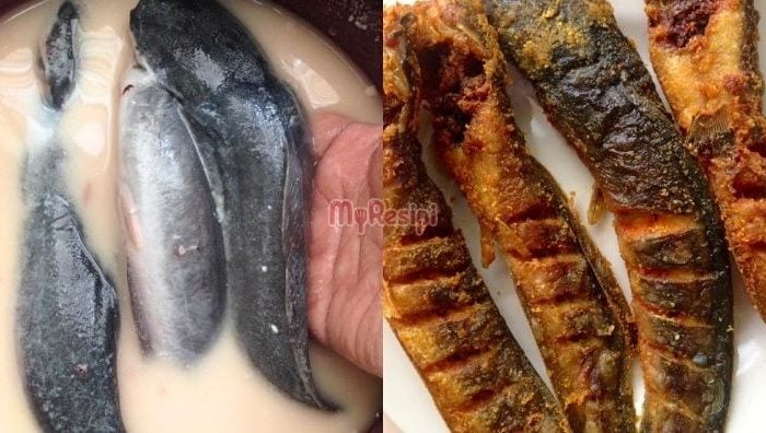 tips goreng ikan keli