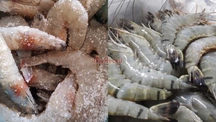 tips simpan udang
