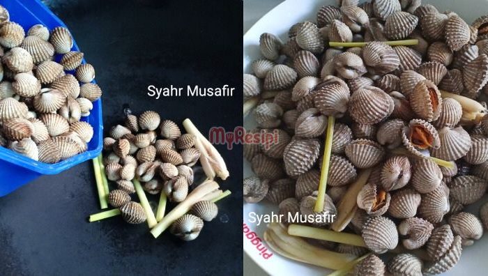 cara rebus kerang