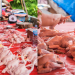 5 Cara Pilih Ayam Segar Di Pasar, Baru Tak Rugi Kalau Terbeli Bangkai Ayam
