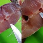 Cara Hilangkan Hanyir Ikan Patin, Kena Cari & Buang ‘Urat’ Ini Sebelum Dimasak
